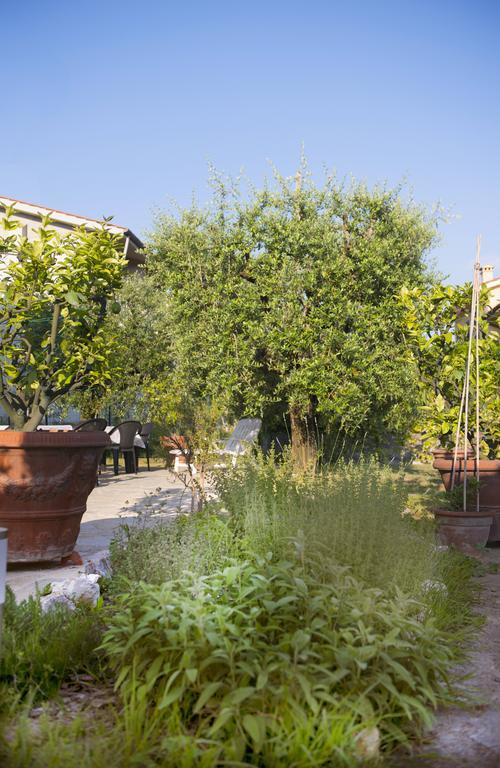 Dolce Sosta Hotel Lucca Bagian luar foto